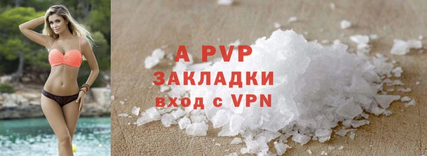 амф Белокуриха