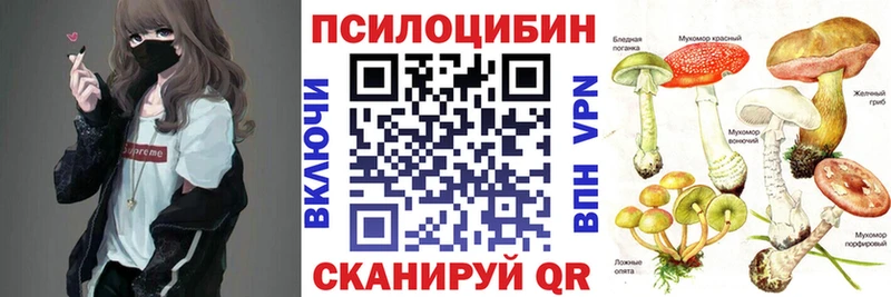 Купить  Ужур  Галлюциногенные грибы MAGIC MUSHROOMS 